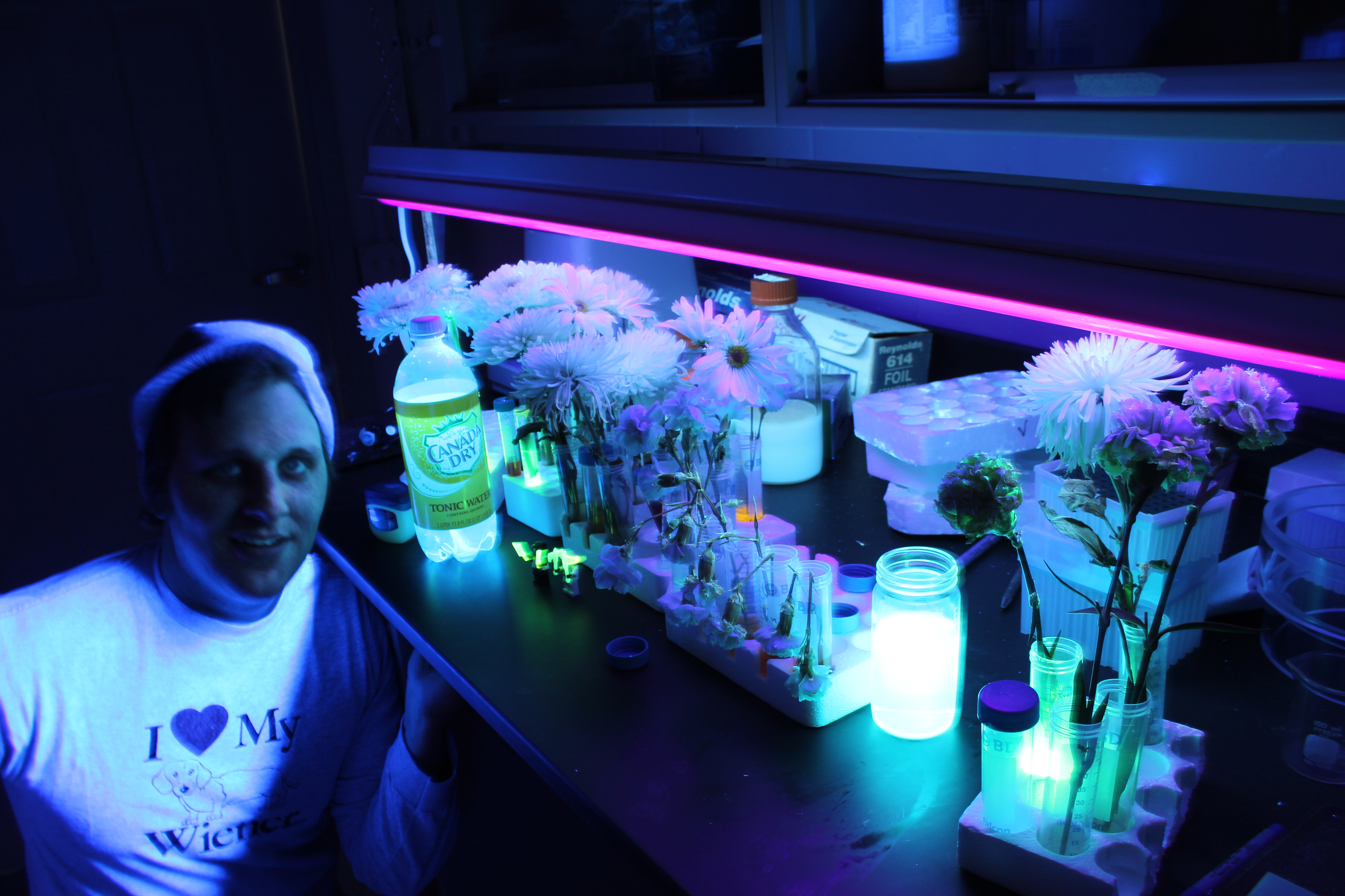 Scientists Say: Fluorescence