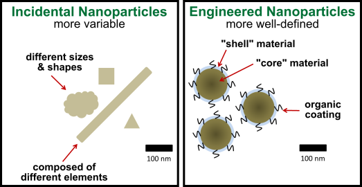 There are two types of man-made nanoparticles: “incidental” (byproducts of other human activities) and engineered (made to order).