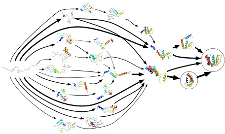 Protein folding pathways. The protein starts as a spaghetti-like string, and it can crumple up in various ways until it finally settles into the native, functional structure at the end. Image source.