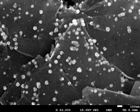 Palladium nanoparticles scattered on the surface of graphite. These nanoparticles were made using coffee! This image was acquired using a scanning electron microscope. 