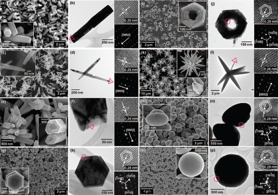 Nanorods (a & b), nanoneedles (c & d), nanocandles (e & f), nanodisks (g & h), nanonuts (i & j), microstars (k & l), microUFOs (m & n), microballs (o & p). Reprinted (adapted) with permission from Morphology-Controlled Growth of ZnO Nanostructures Using Microwave Irradiation: from Basic to Complex Structures, J. Phys. Chem. C. Copyright 2008 American Chemical Society.