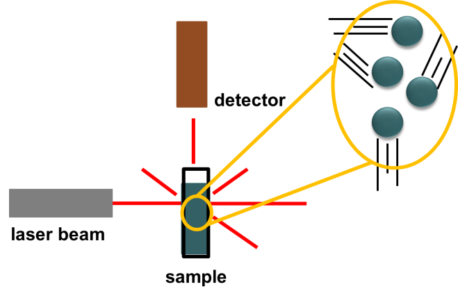 A schematic diagram of a typical dynamic light scattering instrument