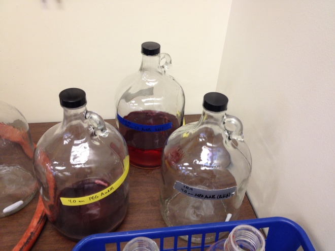 7 - big jars for gold nanoparticle synthesis