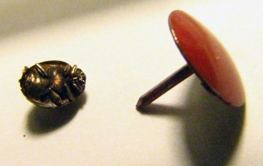 Ladybug, with thumbtack for scale