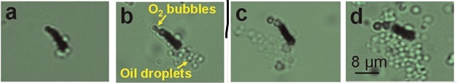 oilspill-nanomachines