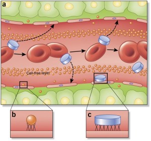 Drawing of nanoparticles in blood vessel