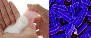 hand sanitizer and bacteria