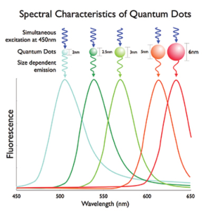 spectral absorption and emission of quantum dots