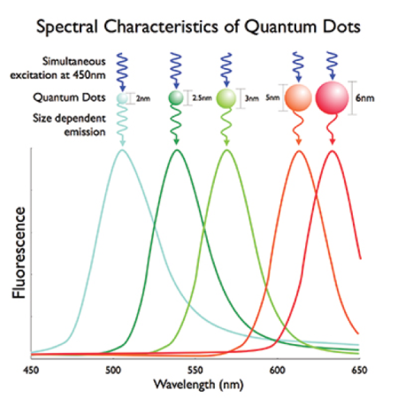 spectral absorption and emission of quantum dots