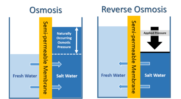 diagram of osmosis & reverse osmosis