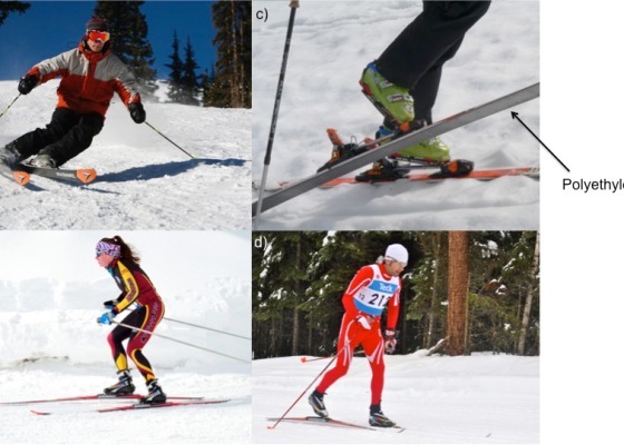 different types of skiing