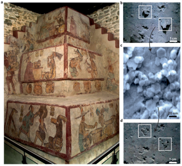 Mayan painting restoration