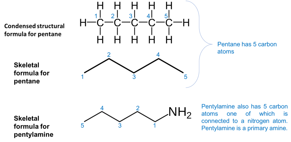 pentylamine.png