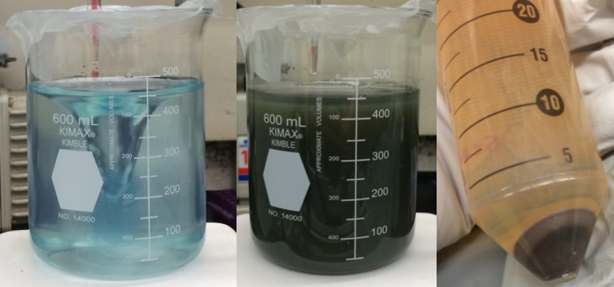 Left: beaker with light blue liquid. Middle: beaker with dark green liquid. Right: black solid at the bottom of a tube of yellow liquid.