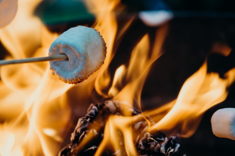 a half-toasted marshmallow on a stick held over a fire