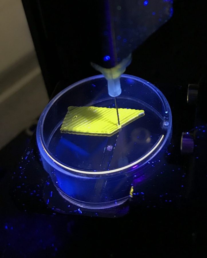 Photo of a yellow material being 3D printed by a needle-like instrument against a black background