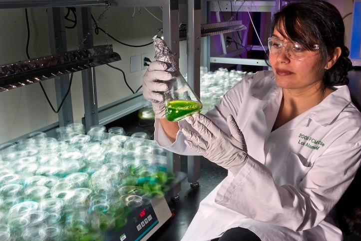 photo of a scientist looking at a flask with green liquid in it