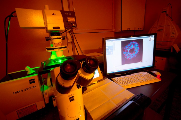 photo of a microscope sitting next to a monitor displaying a colorful cell image