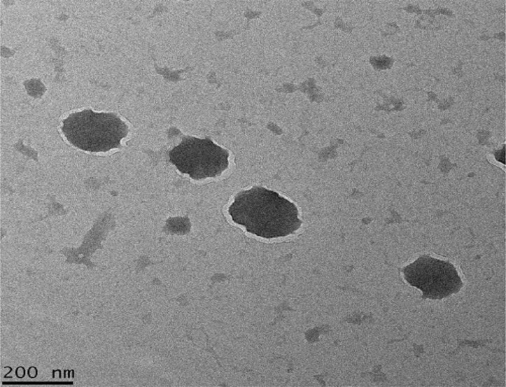 micrograph of four dark gray blobs against a light gray background. Scale bar 200 nm.